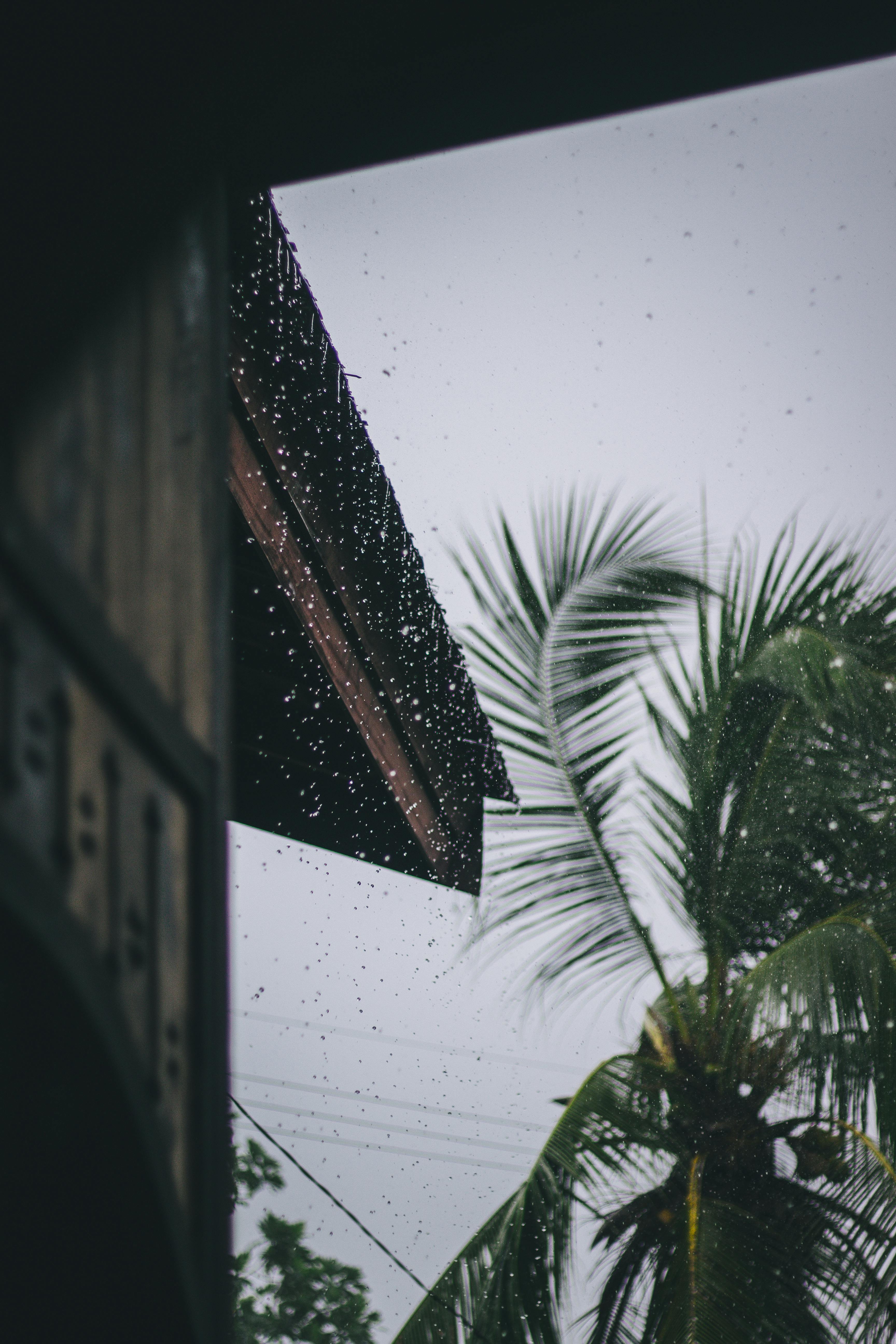 rainy-season